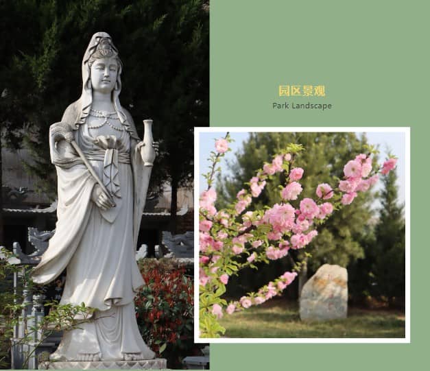 西安一般什么時候購買墓地最便宜？