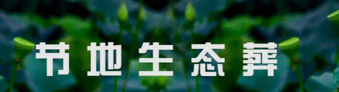 西安鳳棲山墓地購買全攻略：選擇與購買的最佳實踐